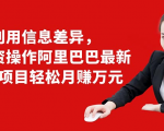 利用信息差异，零投资操作阿里巴巴最新管道项目轻松月赚10000+-第一资源库