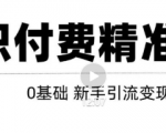 玩转知识付费项目精准引流,给你1套课多账号操作落地方案!-第一资源库