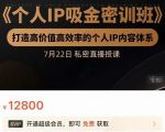 个人IP吸金密训班,打造高价值高效率的个人IP内容体系(价值12800元)-第一资源库