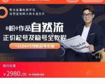 0粉0作品自然流正价起号及稳号全教程,专业自然流起号机构流程化教学(价值2980元)-第一资源库