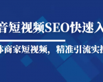 抖音短视频Seo搜索排名优化新手快速入门教程,实体商家短视频,精准引流实操课-第一资源库