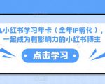 厦九九小红书学习年卡（全年IP孵化），沉浸式学习，一起成为有影响力的小红书博主-第一资源库