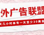 外面收费1980的最新国外LEAD广告联盟搬砖项目,单号一天至少30美金【详细玩法教程】-第一资源库