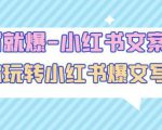 一写就爆-小红书文案课：带你玩转小红收爆文写作（45节课）-第一资源库