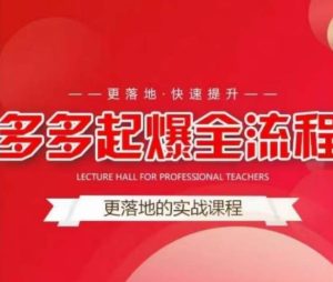 互力-多多新品打爆全流程,拼多多14天拉搜索自然流量,更落地·快速提升-第一资源库