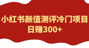 外面1980的项目,小红书颜值测评冷门项目,日赚300+【揭秘】-第一资源库