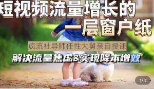 任性大舅·宠物行业短视频运营课(不讲废话)，短视频流量增长的一层窗户纸，解决流量焦虑&实现降本增效-第一资源库