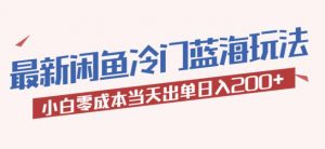 2023最新闲鱼冷门蓝海玩法,小白零成本当天出单日入200+【揭秘】-第一资源库