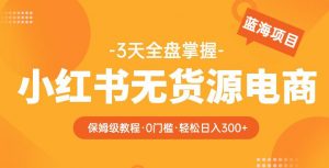 2023【阿本小红书无货源电商训练营】保姆级教程，从0到1，3天全盘掌握，轻松日入300+-第一资源库