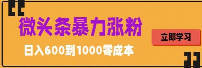 微头条暴力涨粉技巧搬运文案就能涨几万粉丝，简单0成本，日赚600【揭秘】-第一资源库