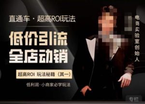 电商冰可乐·直通车·《低价引流·全店动销》，直通车·超高ROI玩法（其一）全店动销必学玩法-第一资源库