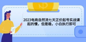 2023电商自然流七天正价起号实战课：起的慢，但是稳，小白执行即可！-第一资源库