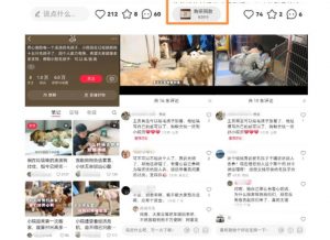 小红书蓝海类赛道:小动物打赏与购买变现副业项目,一条龙玩法分享给你!-第一资源库