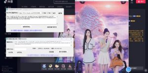 最新电脑版抖音/快手/B站直播源获取+直播间实时录制+直播转播软件【全套软件+详细教程】-第一资源库