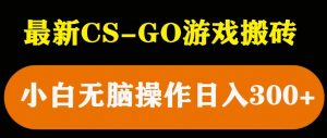 最新csgo游戏搬砖游戏，无需挂机小白无脑也能日入300+-第一资源库