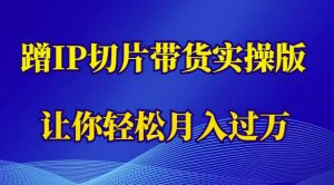 蹭这个IP切片带货实操版，让你轻松月入过万（教程+素材）-第一资源库