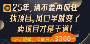 什么?25年你还在疯狂找项目做,醒醒吧,看完这些你全都懂了【揭秘】-第一资源库