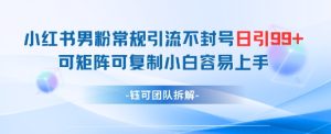 小红书男粉常规引流不封号日引99+变现简单 可矩阵可复制小白容易上手-第一资源库
