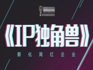 IP独角兽，孵化网红企业，ip教程-第一资源库