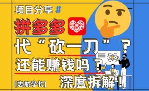 【2025最新】拼多多代坎助力项目深度拆解：还能挣钱吗?全流程玩法-第一资源库