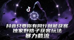 抖音只要你有同行就能获客，独家野路子获客玩法，暴力截流【揭秘】-第一资源库