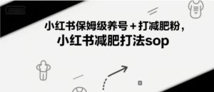 小红书保姆级养号+打减肥粉，小红书减肥打法sop-第一资源库