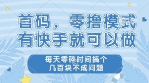 首码，零撸模式，有快手就可以做，每天零碎时间搞个几张不成问题【揭秘】-第一资源库