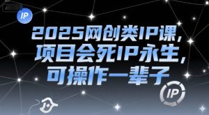 2025网创类IP课，项目会死IP永生，可操作一辈子-第一资源库