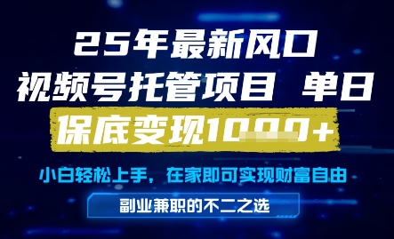 25年最新风口，视频号托管项目，单日保底变现1k+，手把手教学【揭秘】-第一资源库