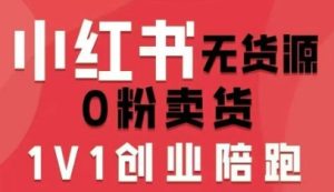 小红书无货源0粉电商课，开店准备、选品策略、笔记撰写、视频剪辑、数据分析、账号打造、资料文档-第一资源库